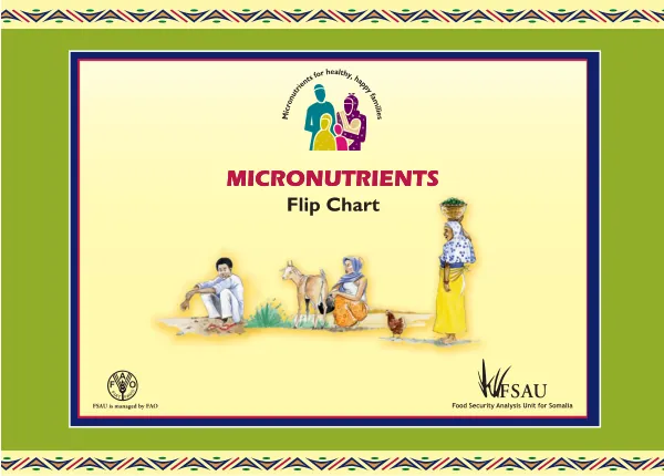 Micronutrients flip chart