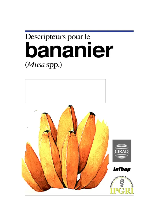 Descripteurs pour le bananier