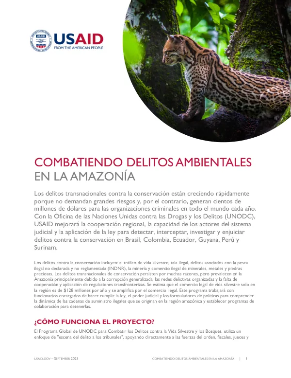 Combatiento Delitos Ambientales en la Amazonía