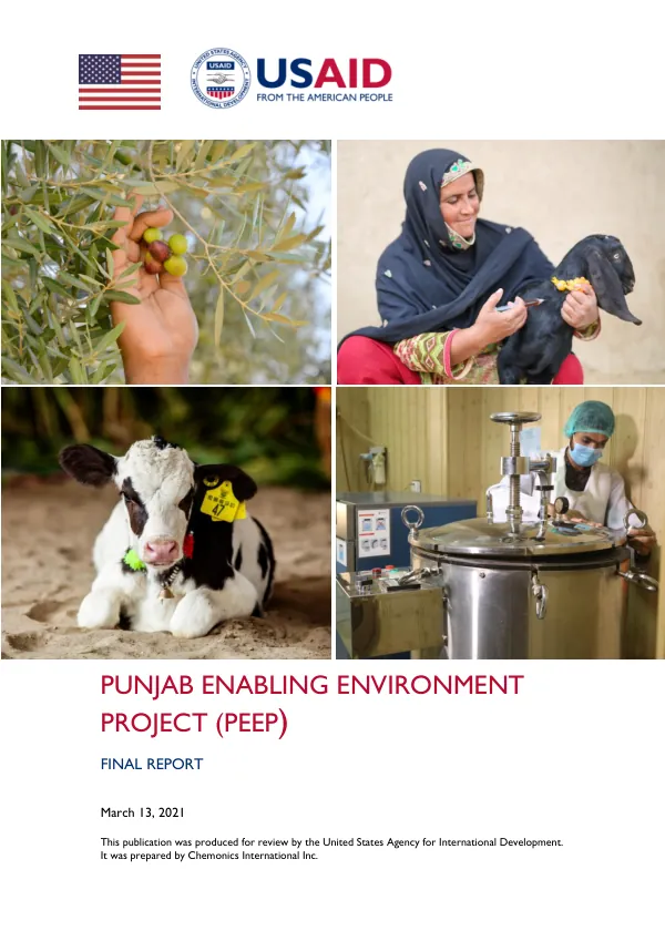Punjab Enabling Environment Project (PEEP) Final Report