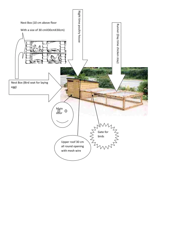 Nest Box Design for Poultry House