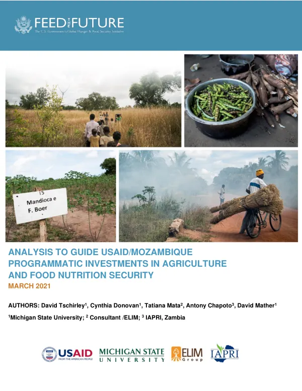 Analysis to Guide USAID/Mozambique Programmatic Investments in Agriculture and Food Nutrition Security