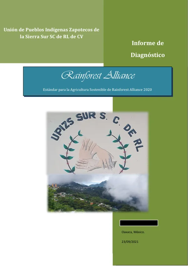 Informe de Diagnóstico: Evaluación del Estándar para la Agricultura Sostenible de Rainforest Alliance 2020