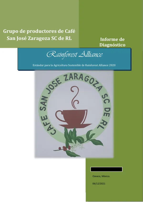 Informe de Diagnóstico: Evaluación del Estándar para la Agricultura Sostenible de Rainforest Alliance 2020