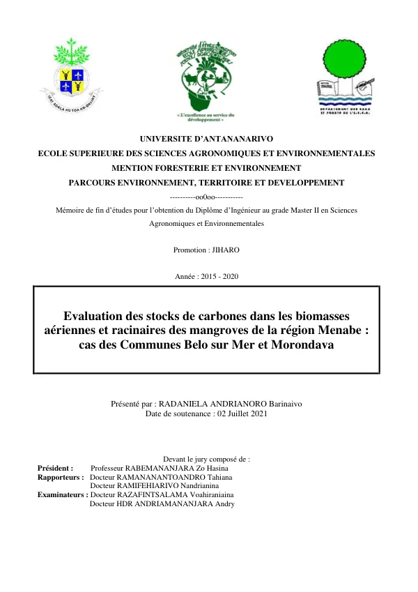 Evaluation des stocks de carbones dans les biomasses aériennes et racinaires des mangroves de la région Menabe : cas des Communes Belo sur Mer et Morondava