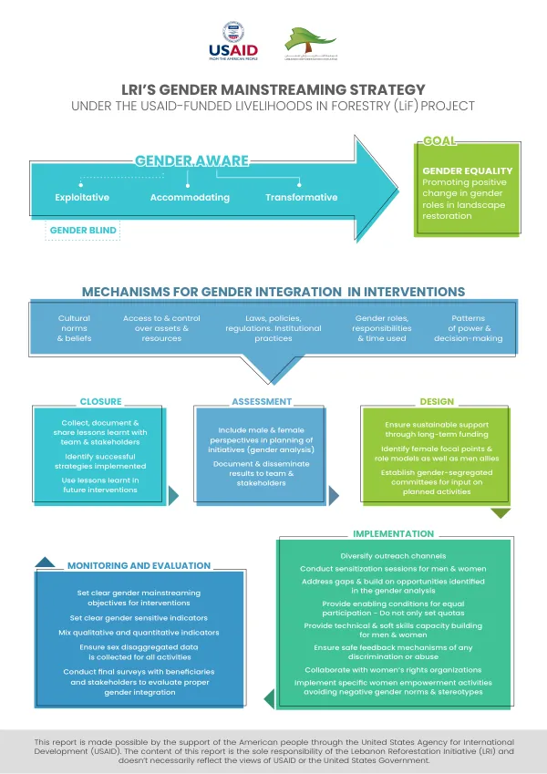 Gender Mainstreaming Strategy