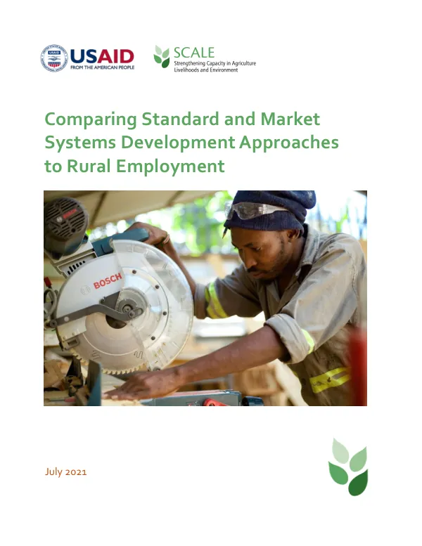 Comparing Standard and Market Systems Development Approaches to Rural Employment