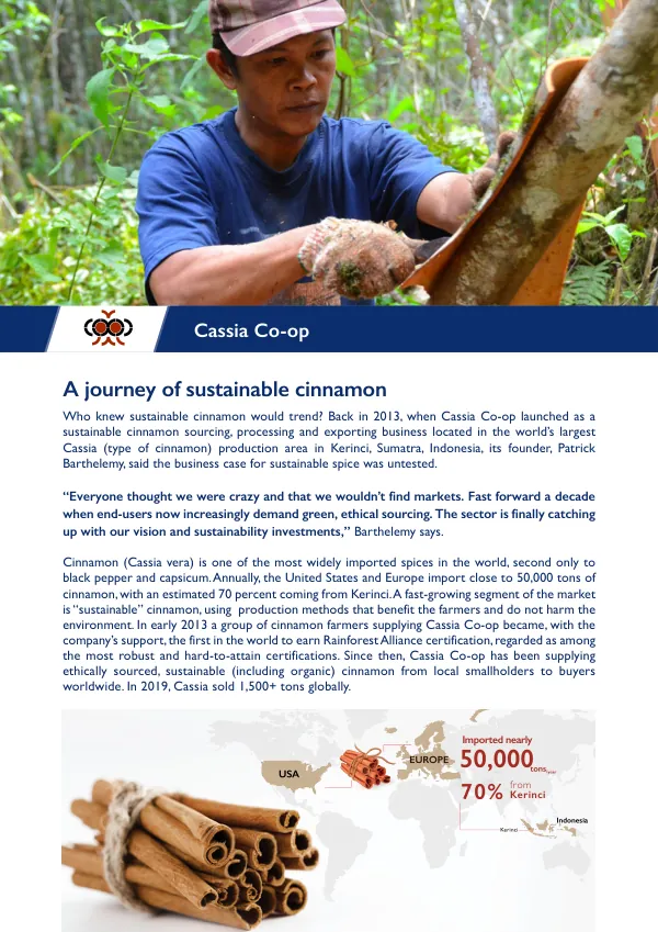 Journey of Sustainable Cinnamon