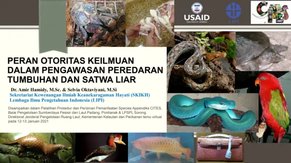 Kewenangan LIPI dalam Implementasi CITES