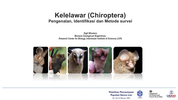 Pengenalan, Identifikasi dan Metode survei Kelelawar (Chiroptera)