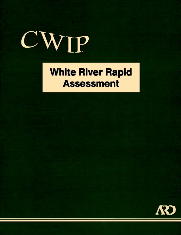 White River rapid assessment
