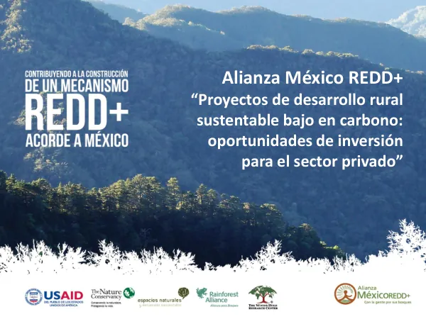 Proyectos de desarrollo rural sustentable bajo en carbono: oportunidades de inversión para el sector privado