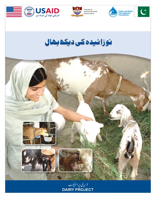 Calf Rearing Manual for Women Livestock Extension Worker