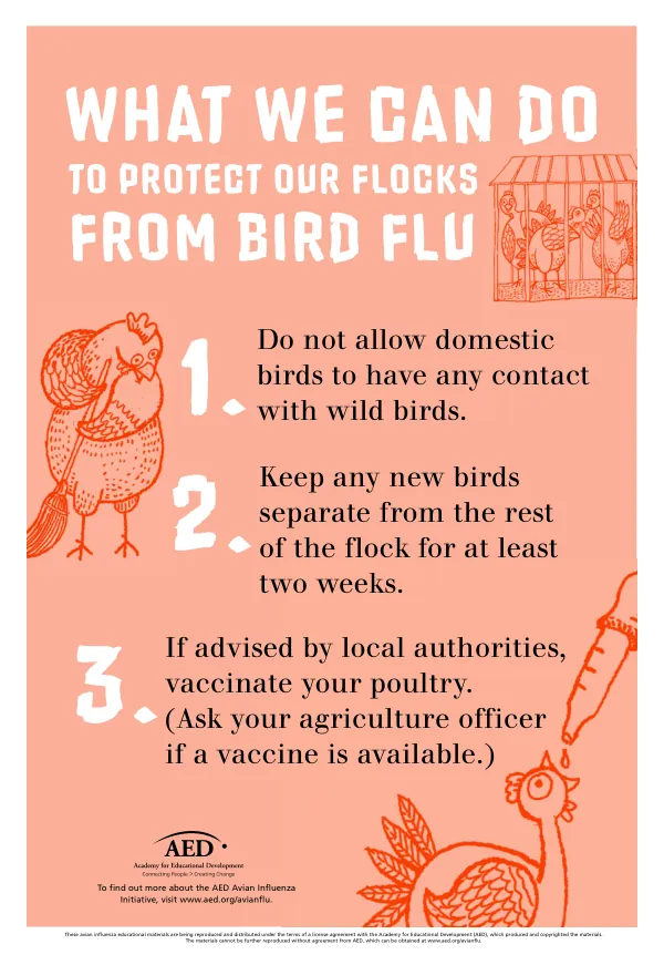 To Protect our Flocks From Bird Flu