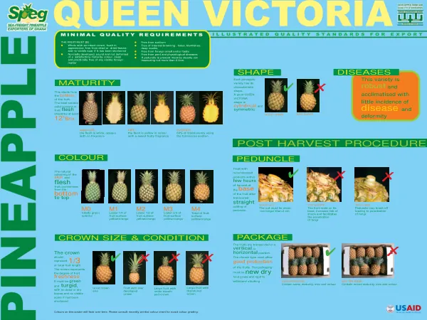 Pineapple Grading Standards