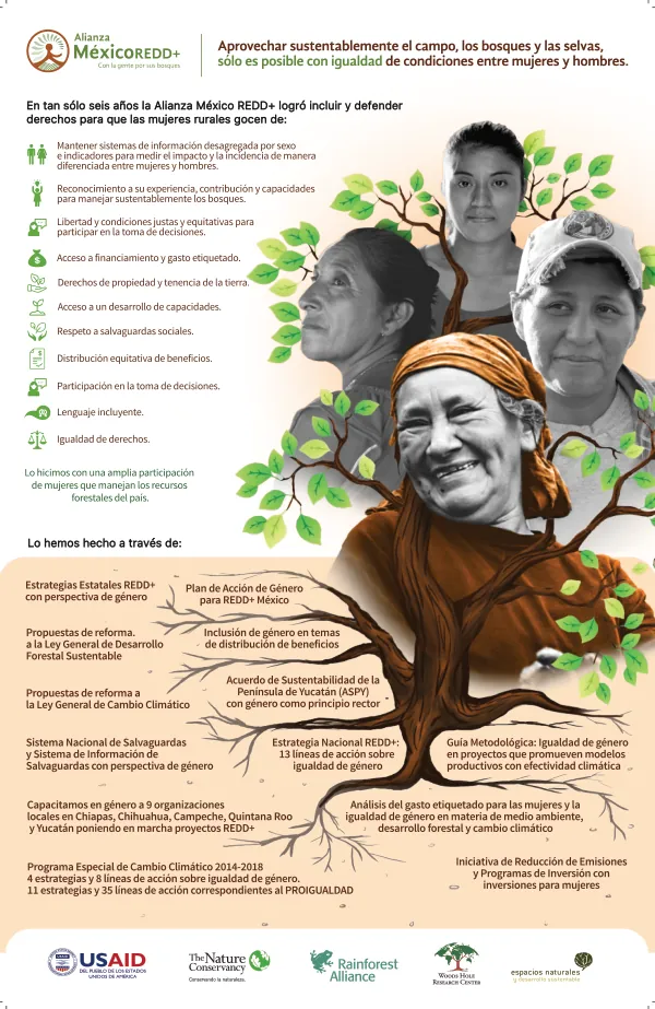 Infografia 300dpi Print