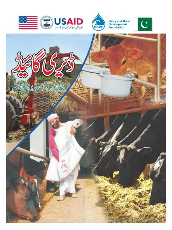 Daily and Rural Development Foundation