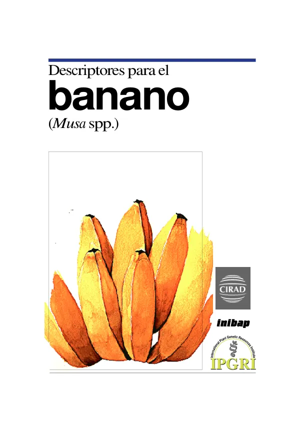 Descriptores para el banano