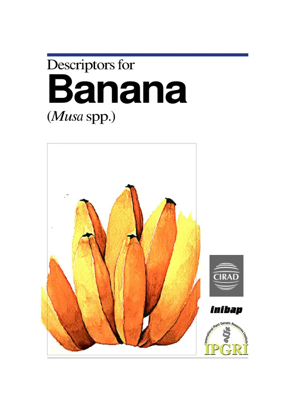 Descriptors for Banana