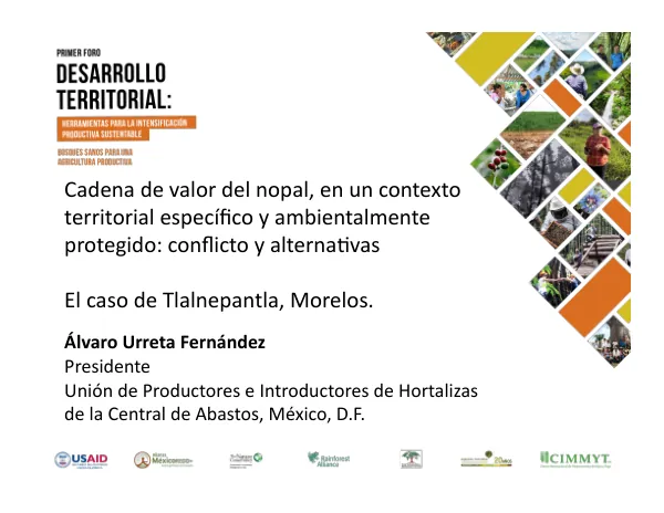 Cadena de valor del nopal en un contexto territorial y ambientalmente protegido: el caso de Tlalnepantla, Morelos