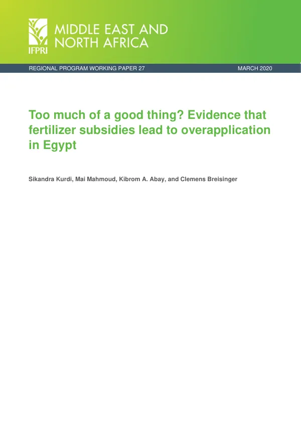 Too much of a good thing? Evidence that fertilizer subsidies lead to overapplication in Egypt