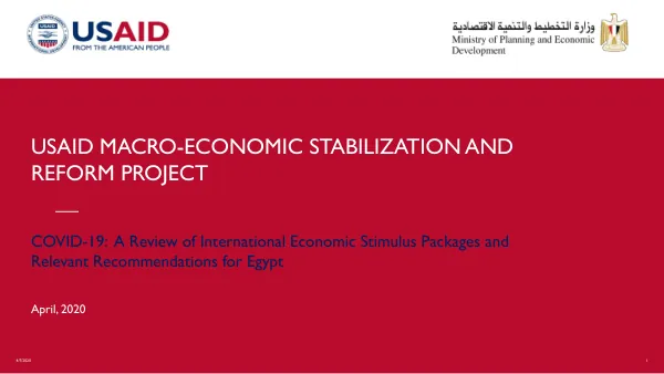 COVID-19: A Review of International Economic Stimulus Packages and Relevant Recommendations for Egypt