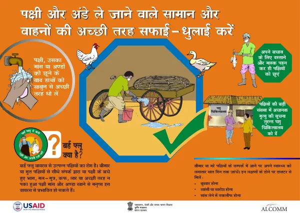 India - flyers - AI (Avian Influenza) prevention [Hindi]