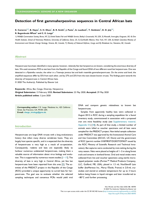 Detection of first gammaherpesvirus sequences in Central African bats