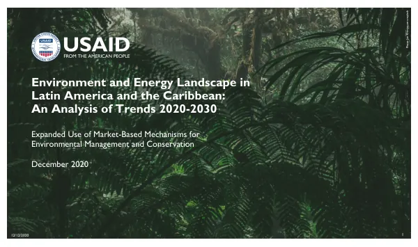 Environment and Energy Landscape in Latin America and the Caribbean: An Analysis of Trends 2020-2030