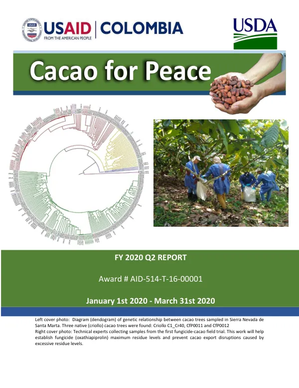 Cacao for Peace FY 2020 Q2 Report