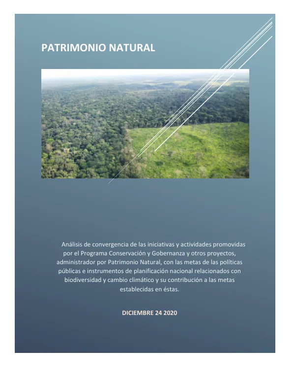 Análisis de convergencia de las iniciativas y actividades promovidas por el Programa Conservación y Gobernanza y otros proyectos