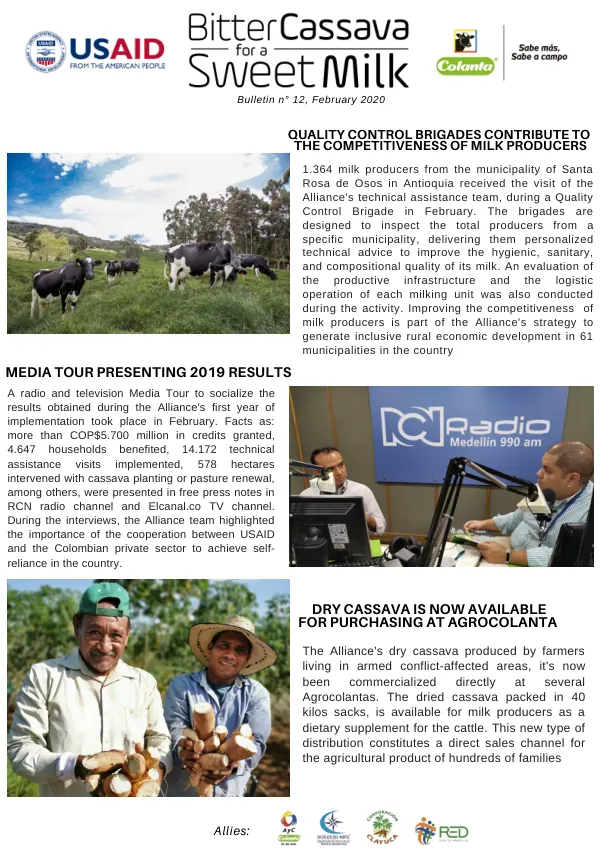 Bulletin n° 12, February 2020