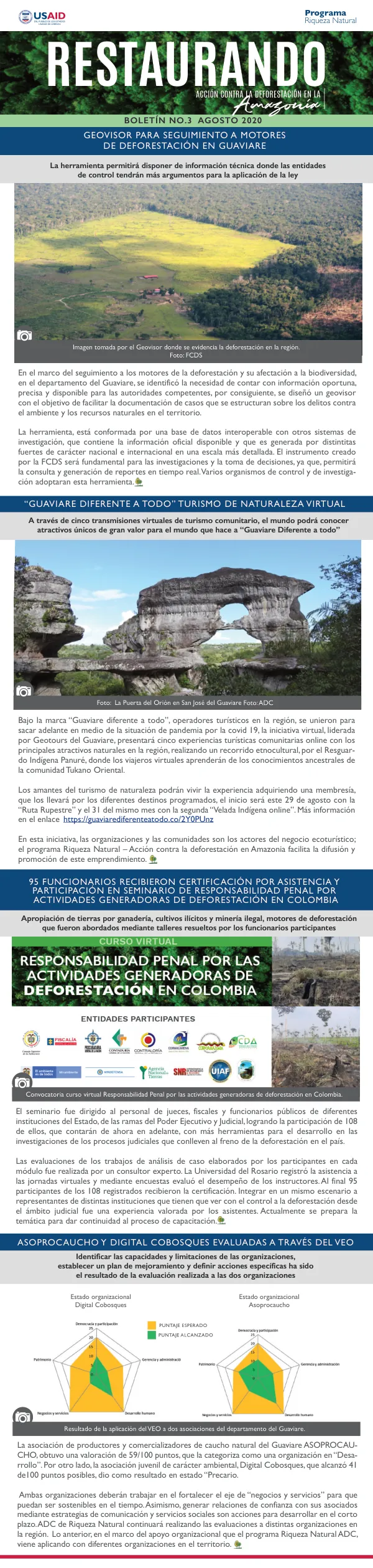 Convocatoria curso virtual Responsabilidad Penal por las actividades generadoras de deforestación en Colombia