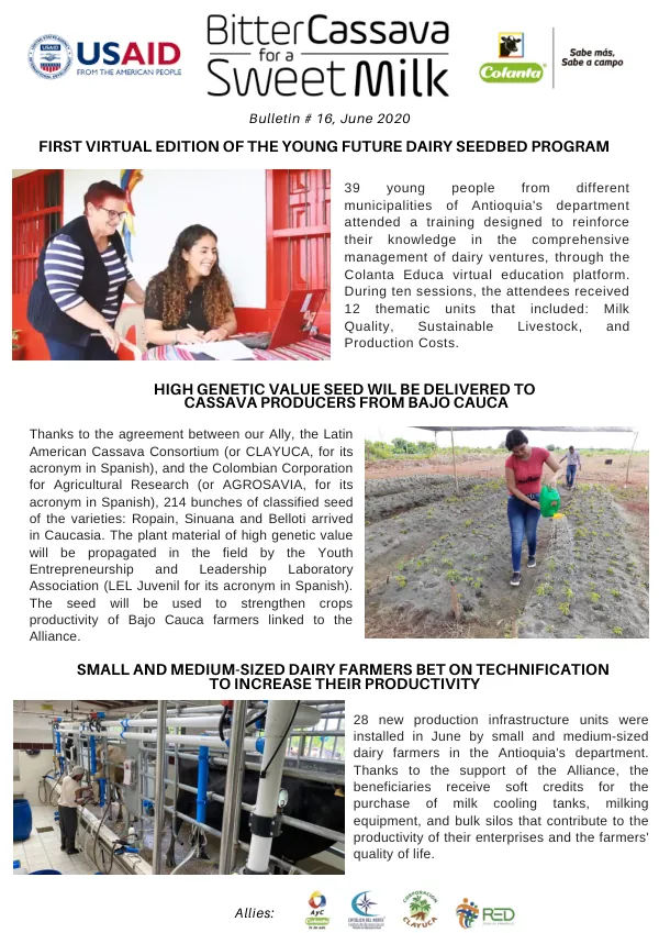 Bulletin #16, June 2020