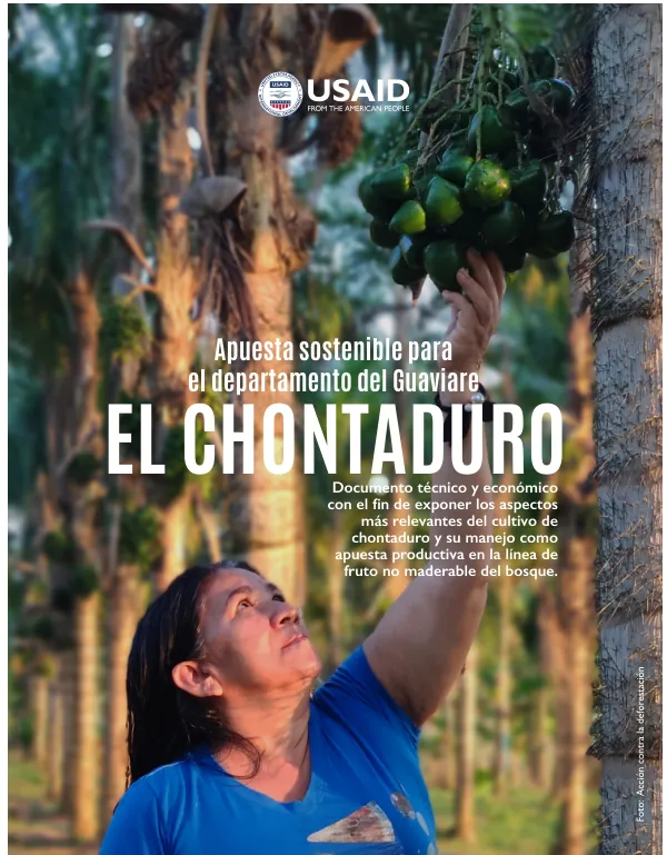 El Chontaduro, Apuesta Sostenible para el Departamento del Guaviare