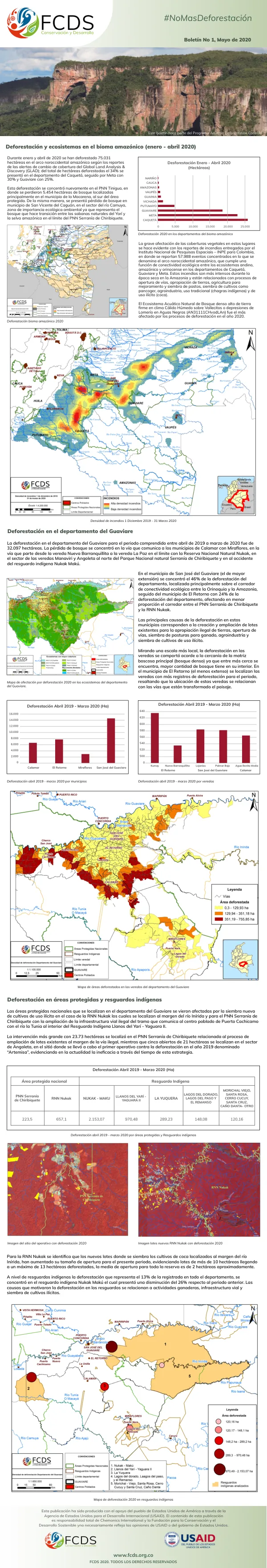 Deforestación 2020 en los departamentos del bioma amazónico