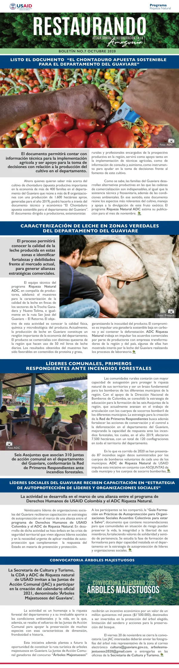 El Chontaduro Apuesta Sostenible para el Departamento del Guaviare