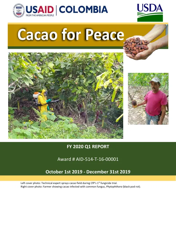 USAID/USDA Colombia Cacao for Peace | FY2020 Q1 Report