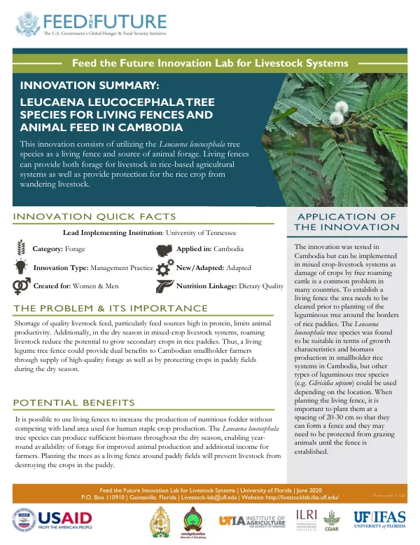 Leucaena leucocephala tree species for living fences and animal feed in Cambodia