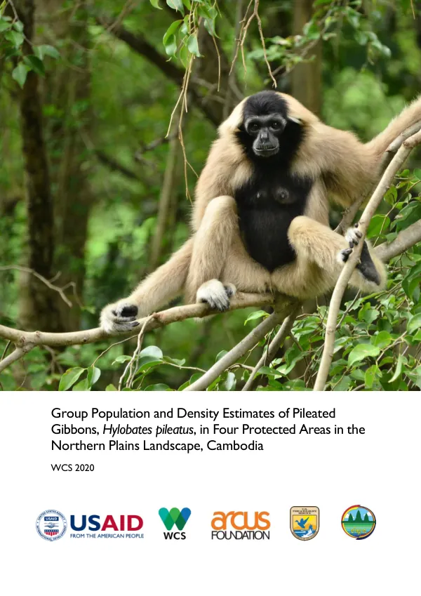Group Population and Density Estimates of Pileated Gibbons, Hylobates pileatus, in Four Protected Areas in the Northern Plains Landscape, Cambodia
