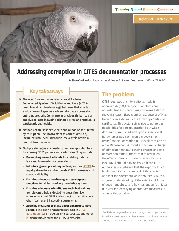 Addressing corruption in CITES documentation processes