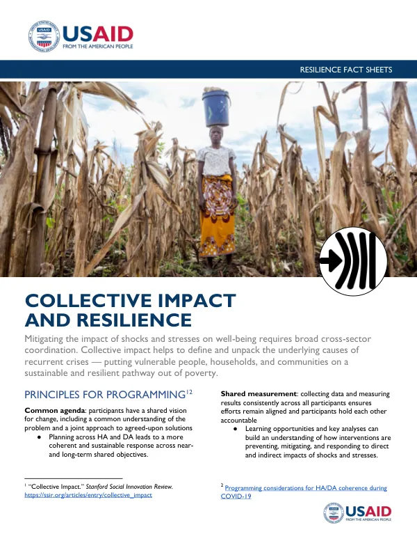 COLLECTIVE IMPACT AND RESILIENCE