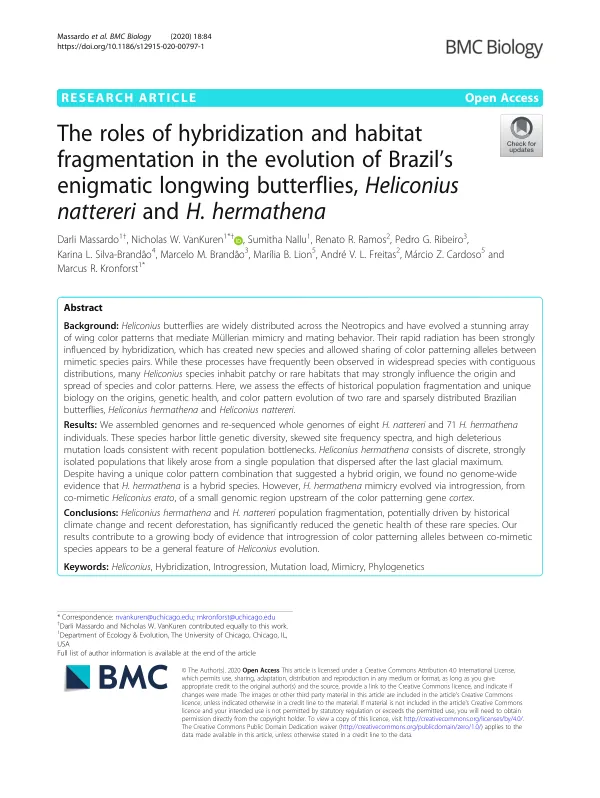 The roles of hybridization and habitat fragmentation in the evolution of Brazil’s enigmatic longwing butterflies, Heliconius nattereri and H. hermathena