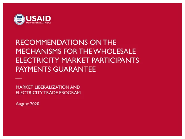 Recommendations on the Mechanisms for the Wholesale Electricity Market Participants Payments Guarantee