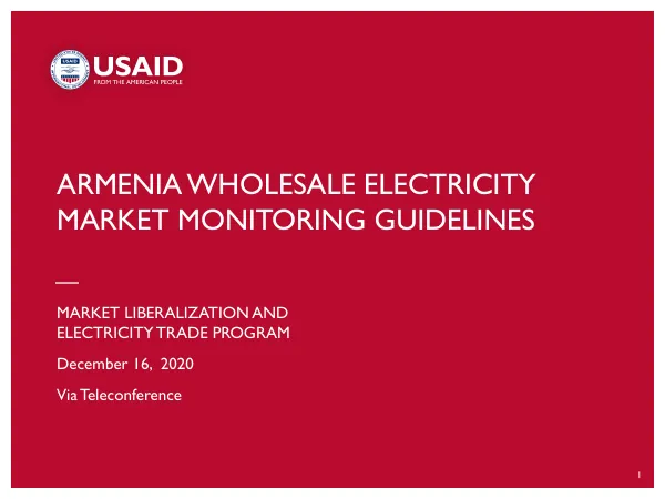 Market Monitoring in the Electricity Industry: International Experience