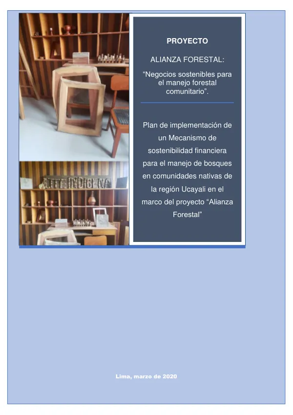 Elaboración de un Plan de Sostenibilidad Financiera del modelo de manejo de bosques comunales de la Alianza Forestal
