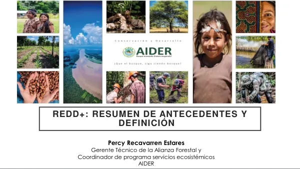 REDD+: RESUMEN DE ANTECEDENTES Y DEFINICIÓN