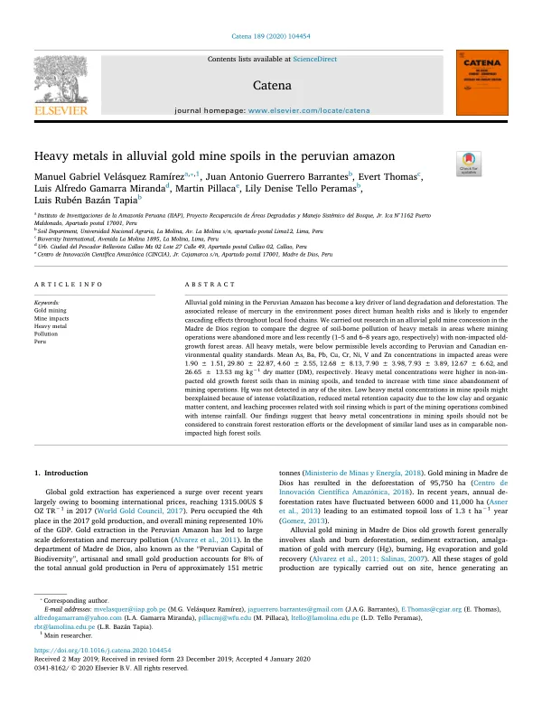Heavy metals in alluvial gold mine spoils in the Peruvian Amazon