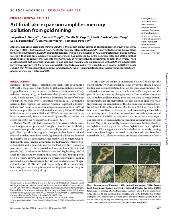 Artificial lake expansion amplifies mercury pollution from gold mining