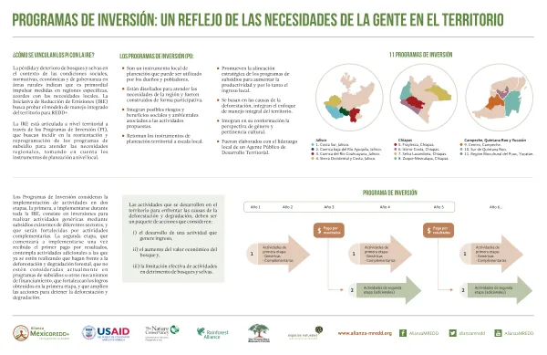 INFOGRAFIA 2